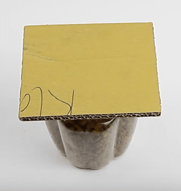 cardboard kibble dispenser