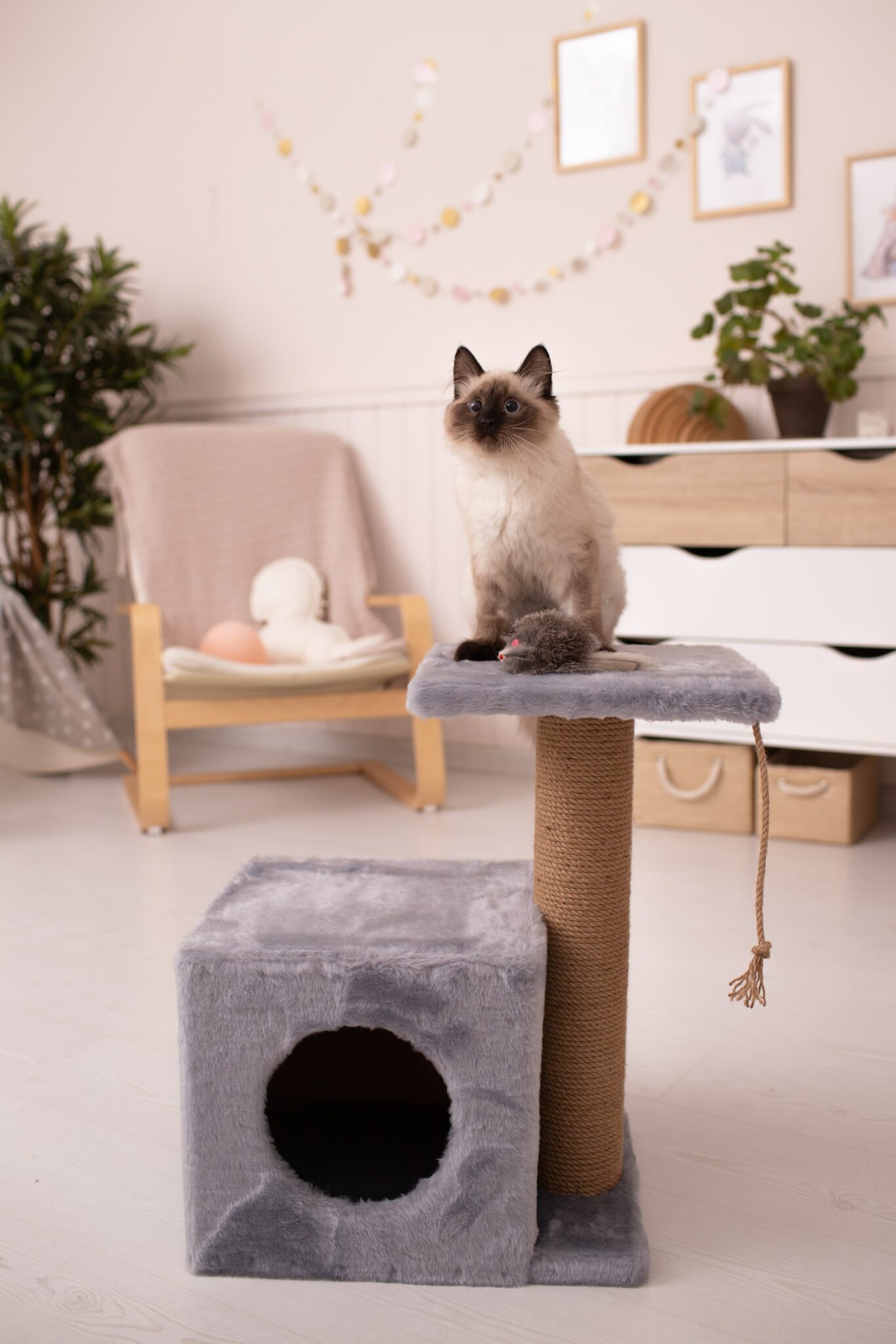 kitten cat tree house